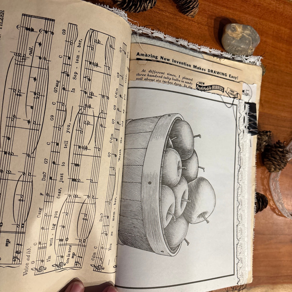 Moth Junk Journal