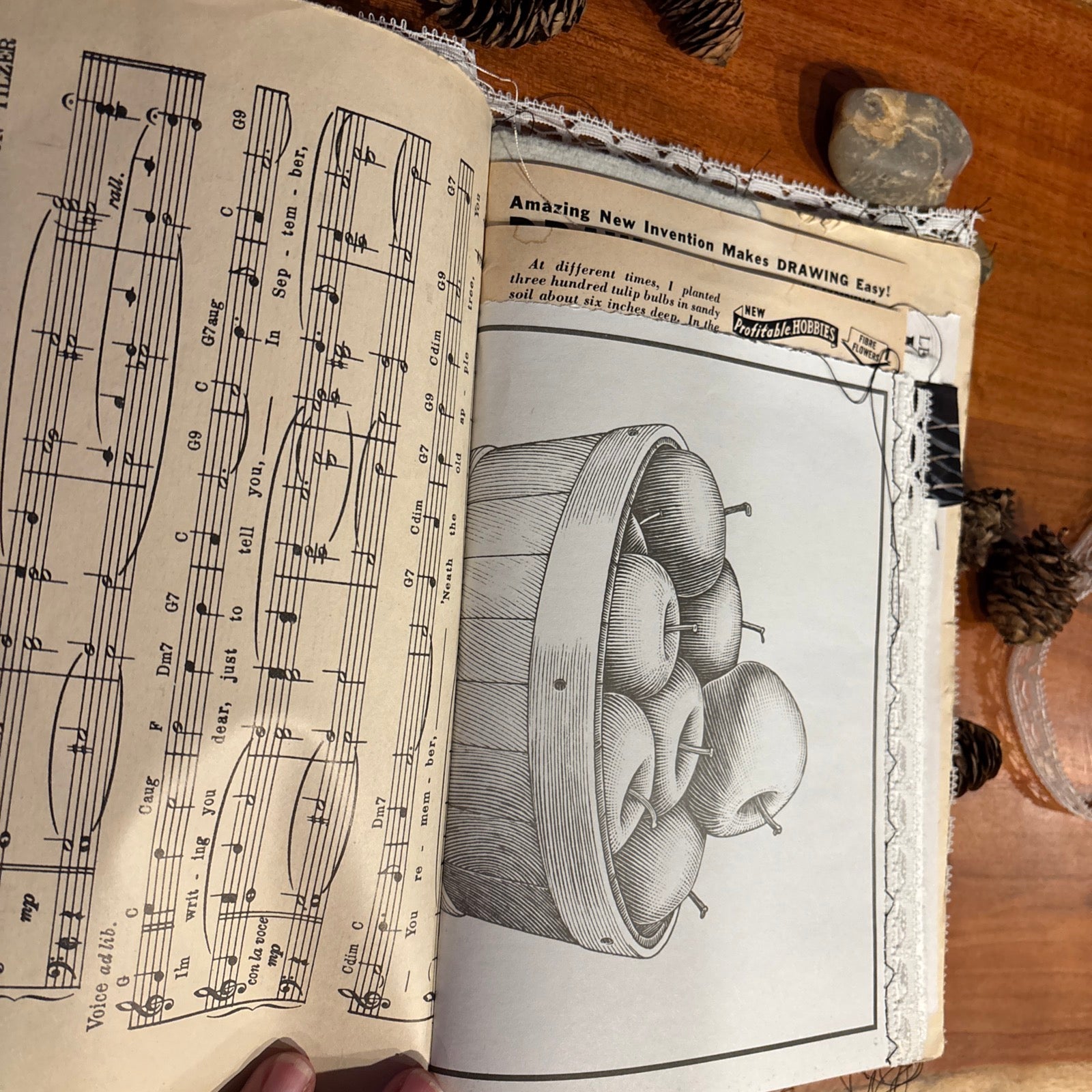 Moth Junk Journal