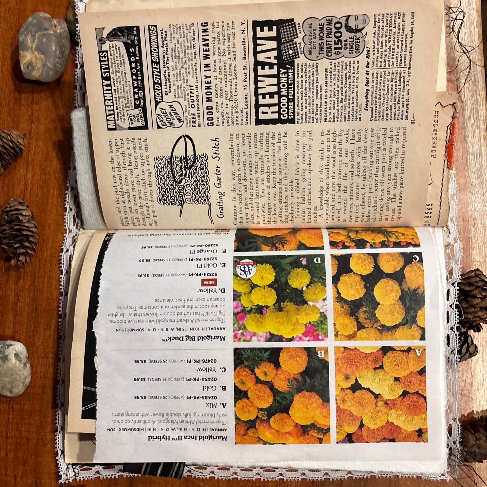 Moth Junk Journal