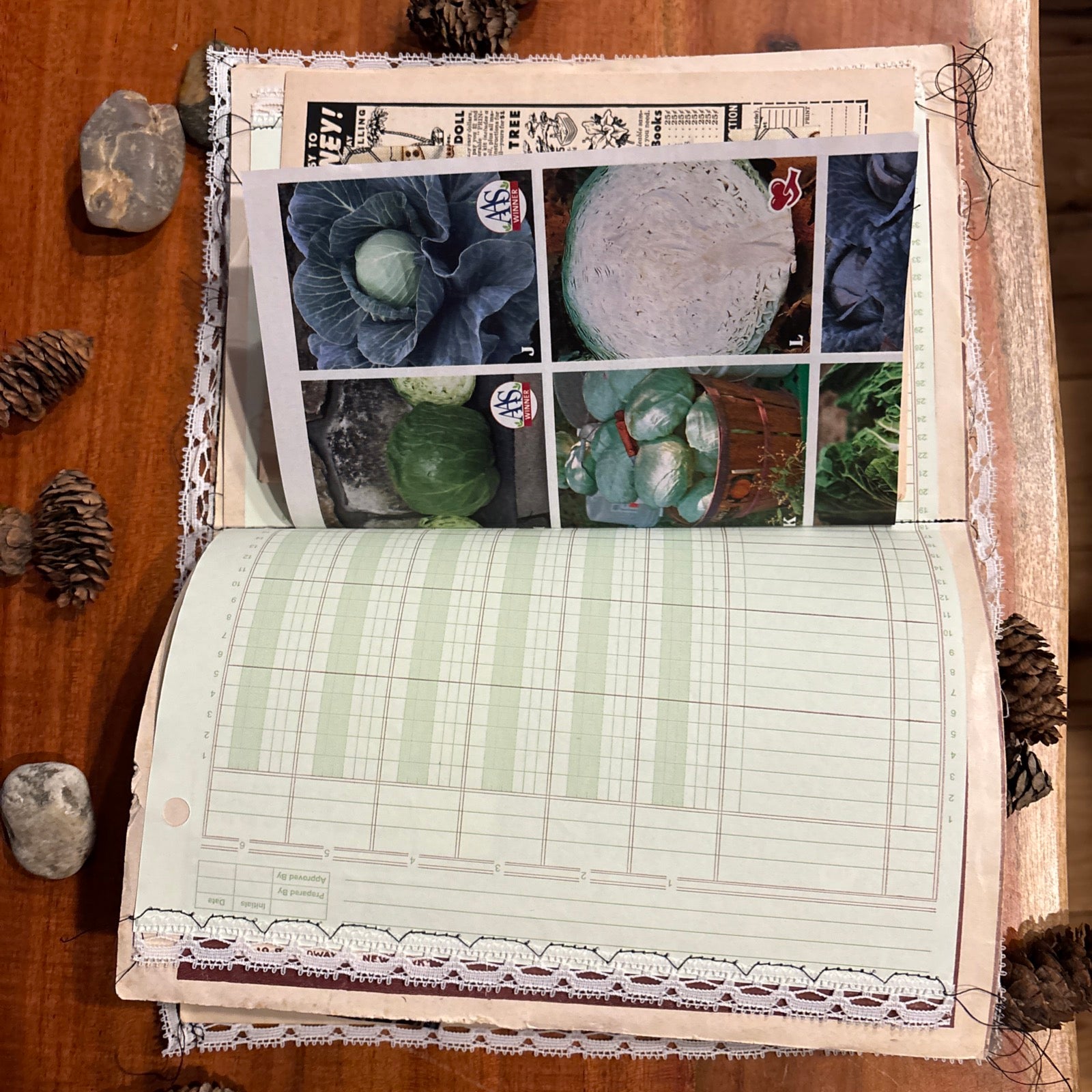 Moth Junk Journal
