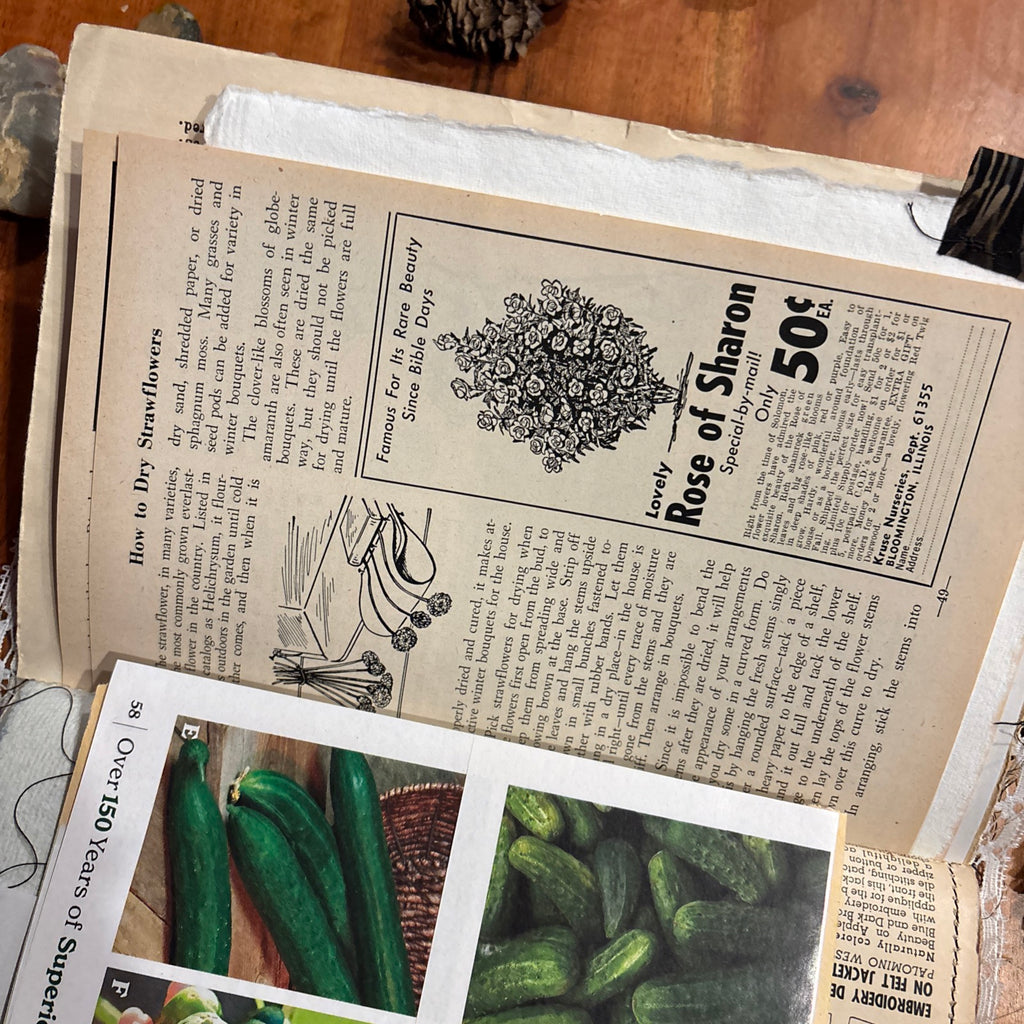 Moth Junk Journal