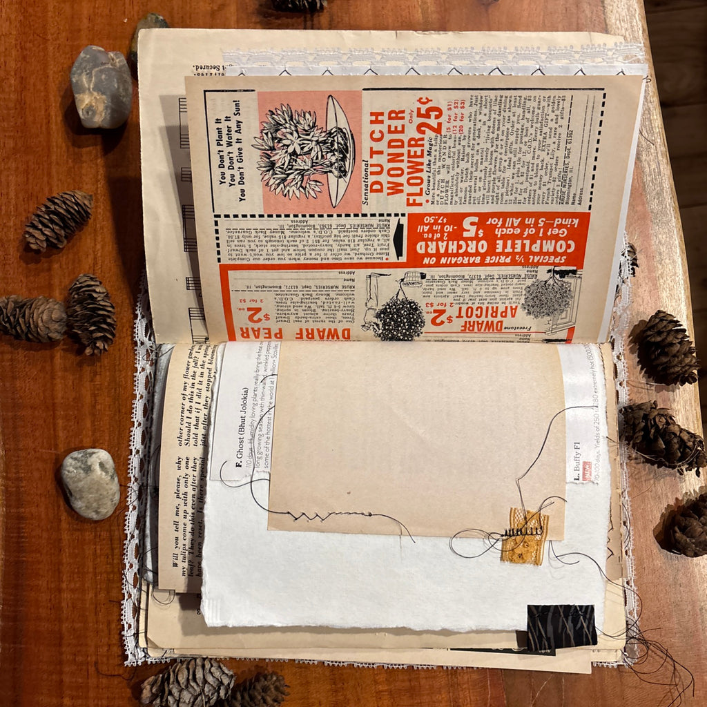 Moth Junk Journal