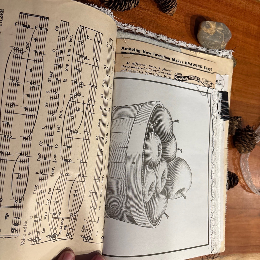 Moth Junk Journal