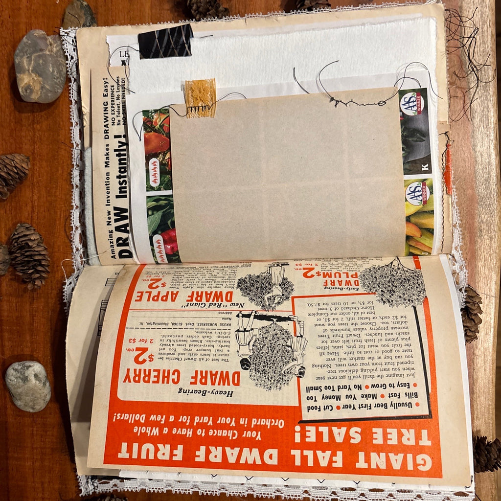 Moth Junk Journal