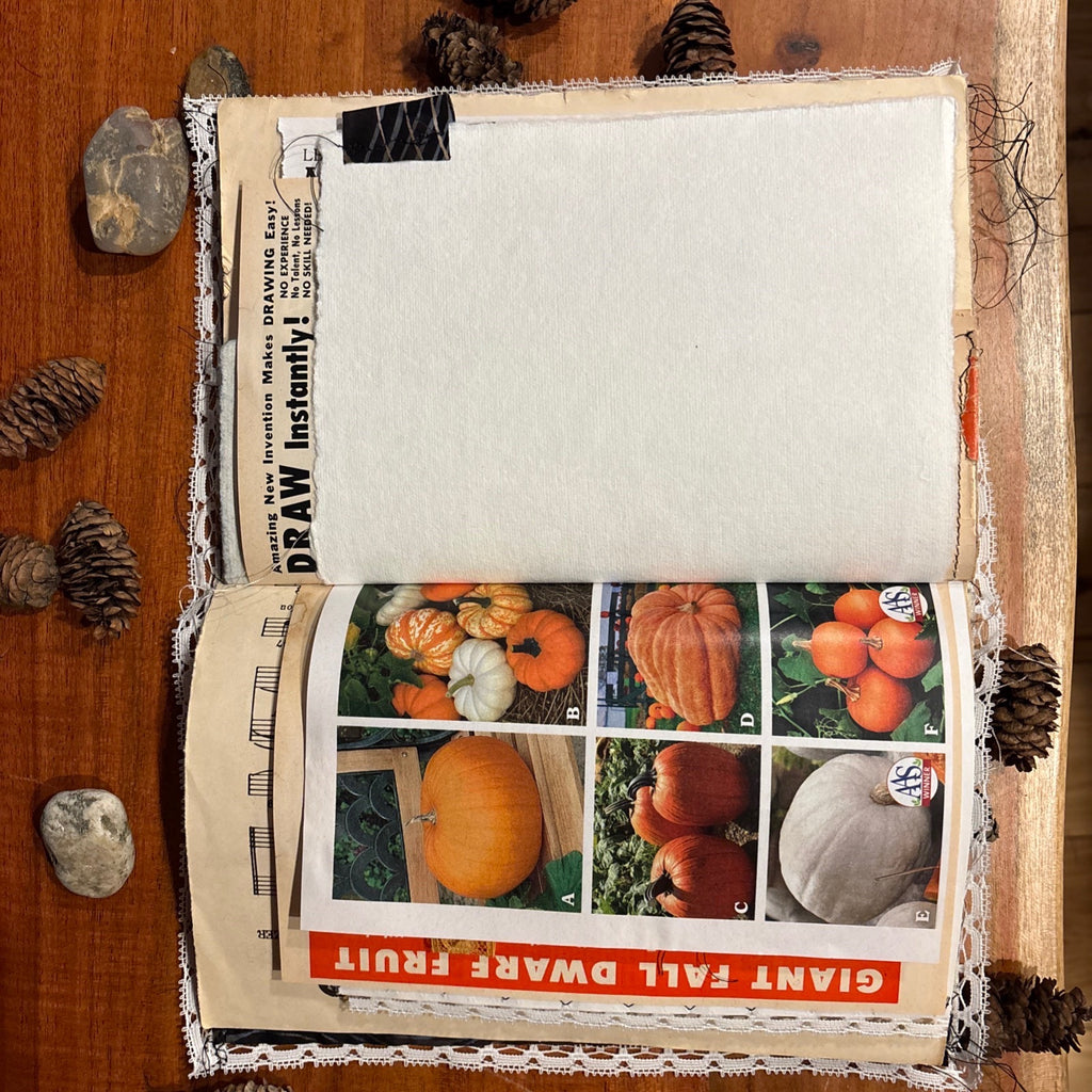 Moth Junk Journal